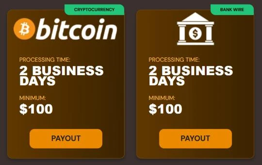 Sun Palace payout methods: Bitcoin and bank wire, each with a processing time of 2 business days and a $100 minimum