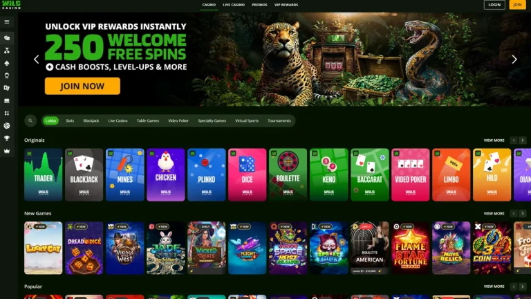 Wild Casino lobby with its 250 free spins welcome banner and rows of new slot games