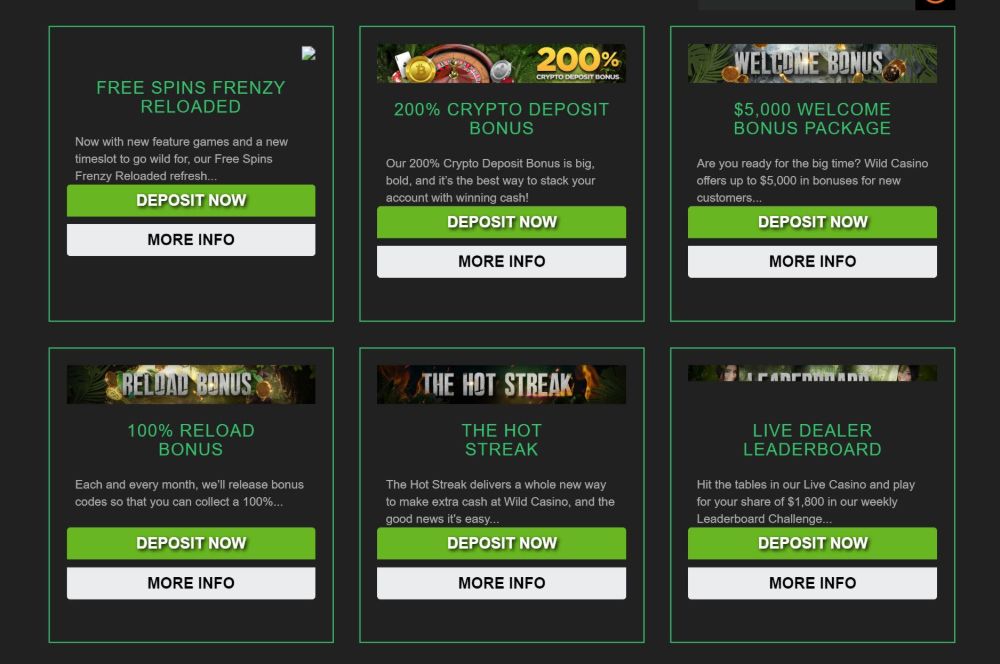 wild casino bonus