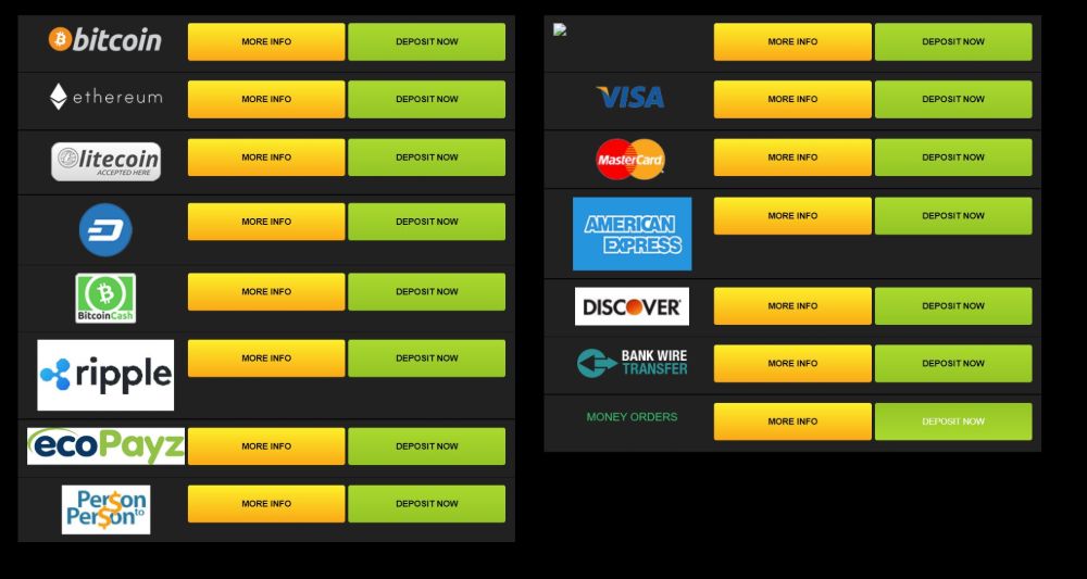 wild casino deposit options